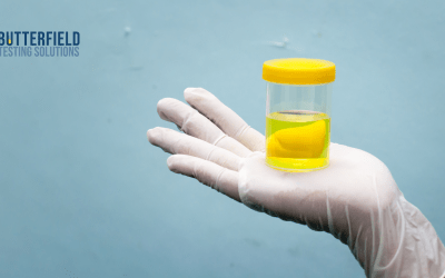 Rapid Urine Test Turnaround Times and How Onsite Collections Reduce Downtime